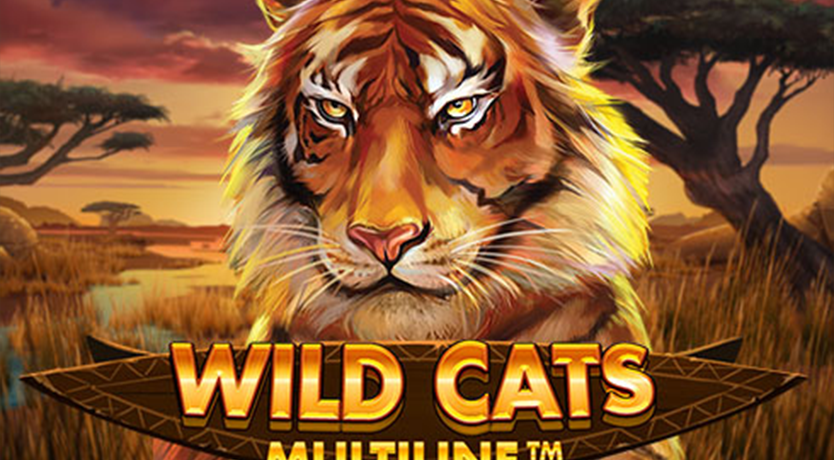 Ігровий автомат Wild Cats Multiline